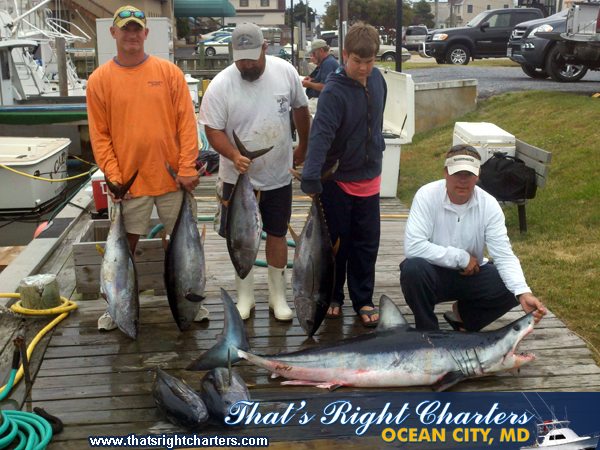 Great Ocean City Fishing over the weekend! Shark & Tuna! - Group Fishing  Charters in Ocean City MD and Florida Keys