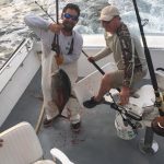 Offshore fishing report tuna