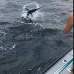 Poor Girls Open white marlin