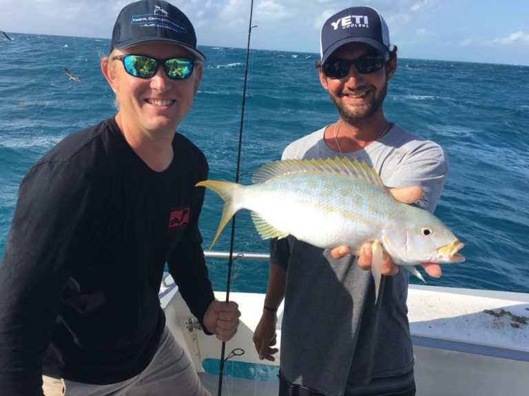 November Islamorada fishing. Snappers