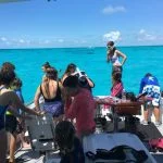 Islamorada and dry tortugas fishing report