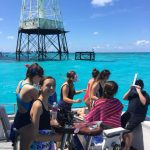 Islamorada and dry tortugas fishing report