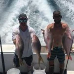 Islamorada and dry tortugas fishing report