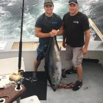 OCMD bluefin