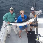 Ocean city white marlin